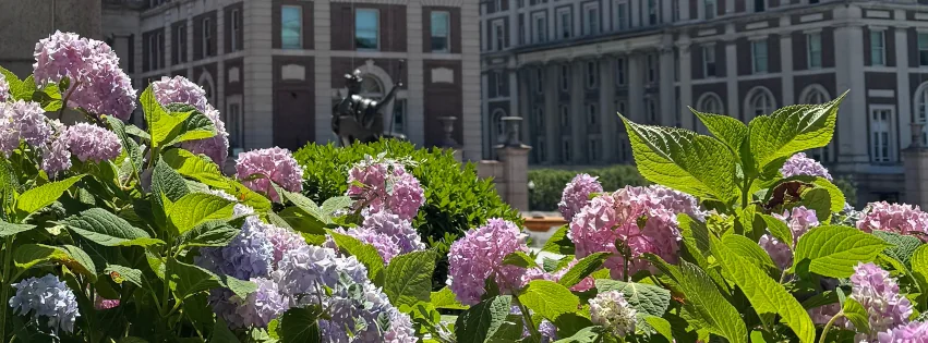 Columbia University campus