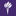 new-york-university logo